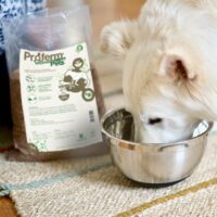 Pre- och probiotiskt fodertillskott till husdjur EM® möjliggör friskare hundar och katter