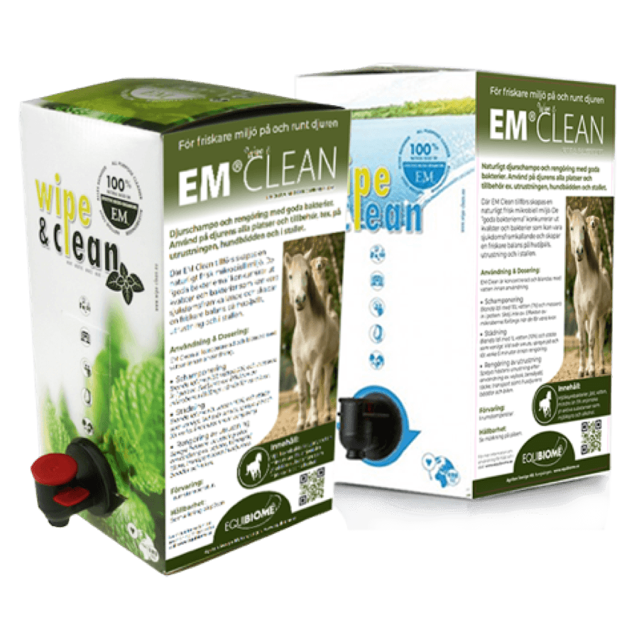 EMClean
