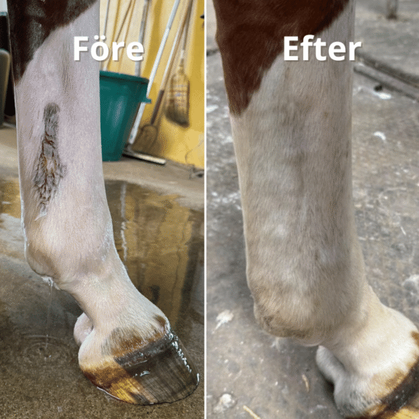 Mugg & Rasp - Ett startkit - Bild 3