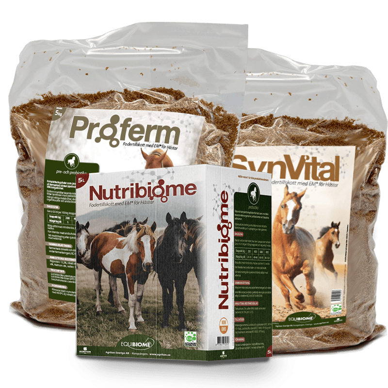 Kompletteringsfoder häst