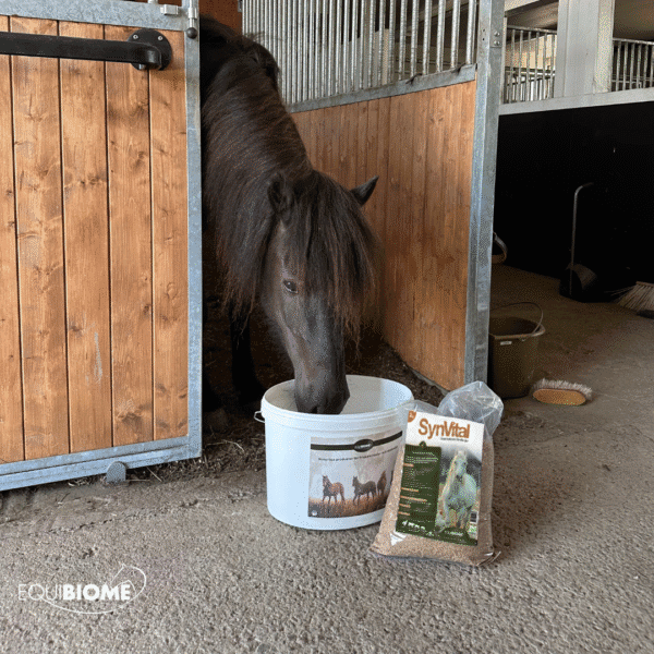 Synvital med stallhink & doseringsmått - Bild 3