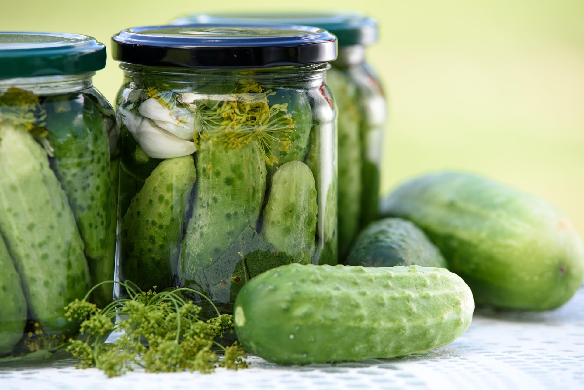 Fermentering gurkor