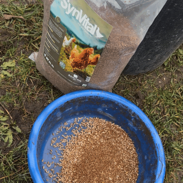 SynVital för fjäderfän - Bild 3