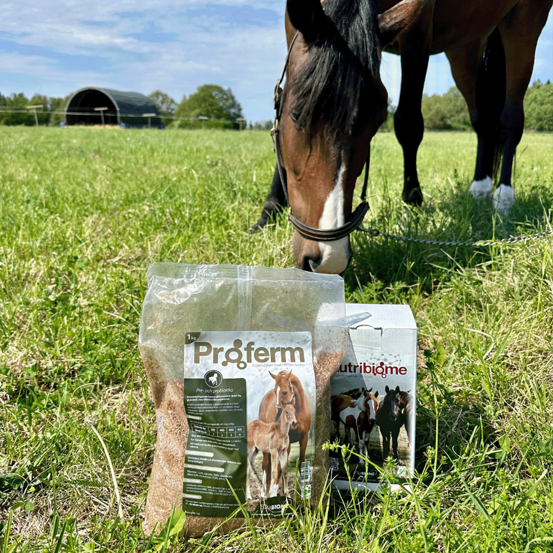 Proferm & Nutribiome